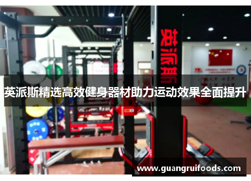 英派斯精选高效健身器材助力运动效果全面提升