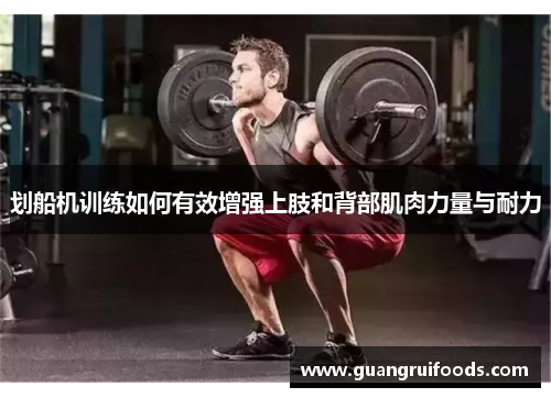 划船机训练如何有效增强上肢和背部肌肉力量与耐力
