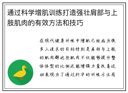 通过科学增肌训练打造强壮肩部与上肢肌肉的有效方法和技巧