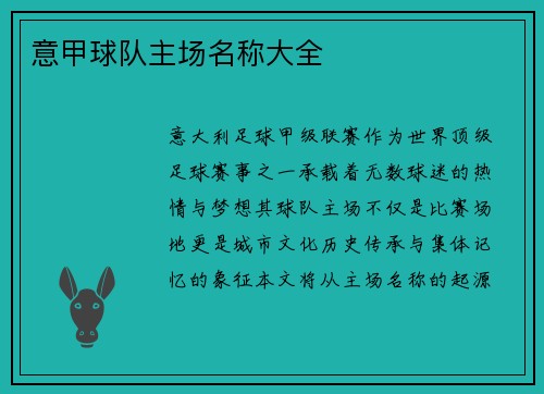 意甲球队主场名称大全