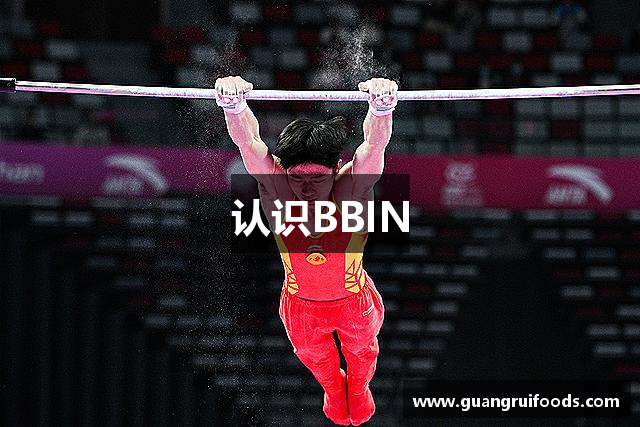 认识BBIN
